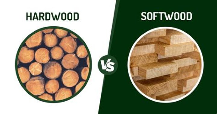 Is Poplar hard or soft wood?