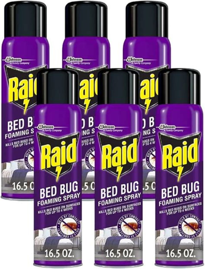 Is raid bed bug spray safe