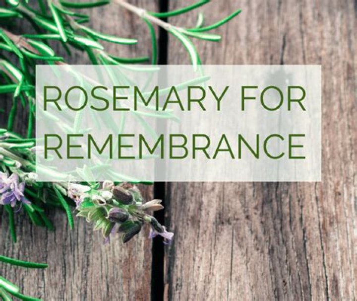 Is Rosemary for remembrance