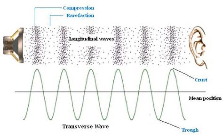 Is sound wave transverse or longitudinal?