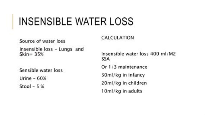 Is sweat insensible water loss?