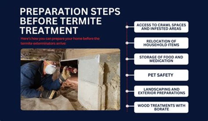Is termite treatment toxic