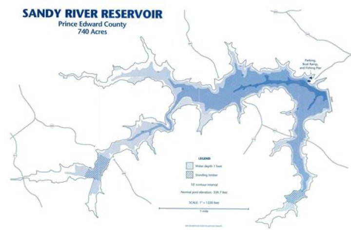 Is the Sandy River safe for dogs?