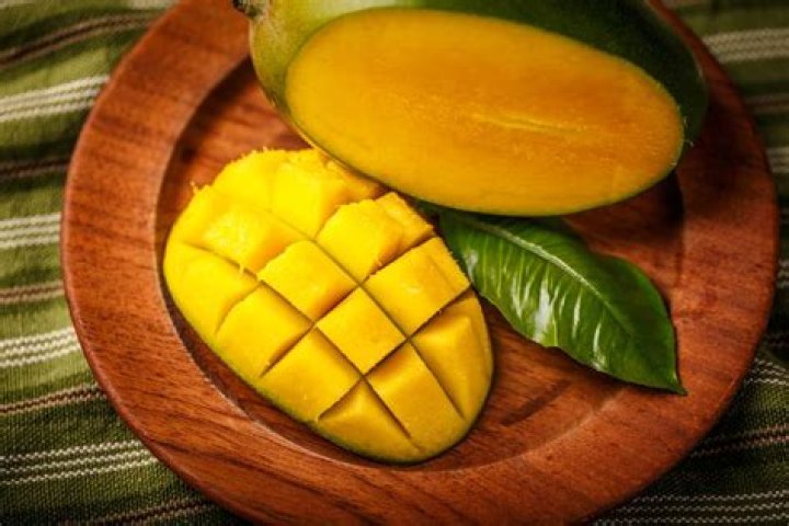 Is the seed of a mango poisonous?