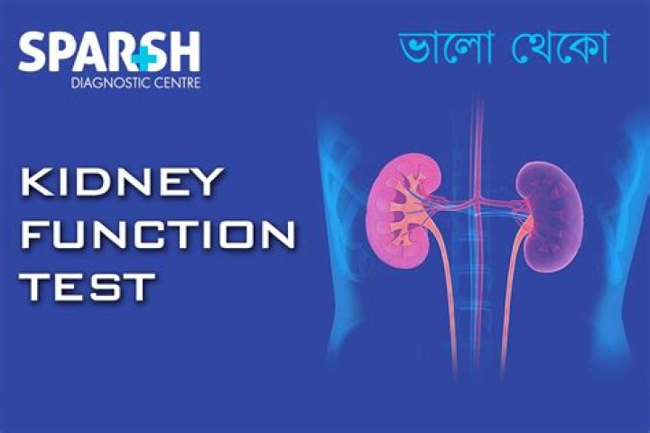 Is there a home test for kidney function?