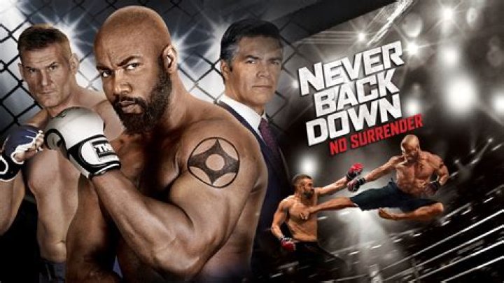 Is there a never back down 3?