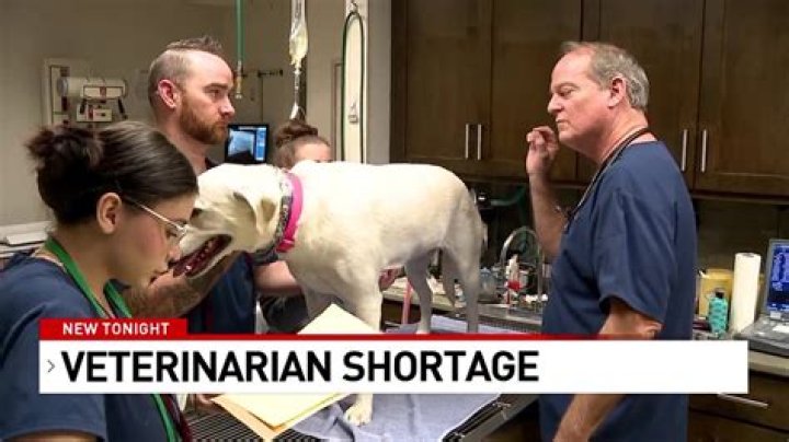 Is there a shortage of Vetmedin?