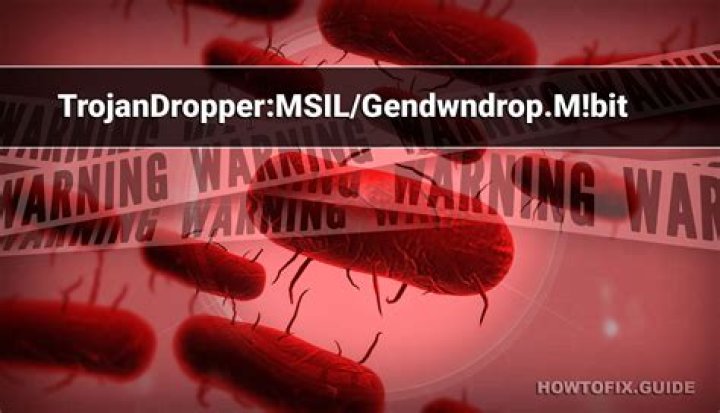 MSIL/TrojanDropper.Agent.KO