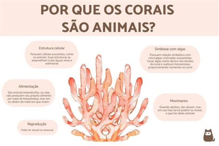 ¿Qué es Sesil biologia? | ContextResponse.com