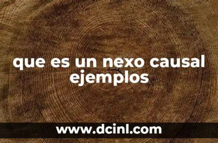 ¿Qué es un nexo causal ejemplos?