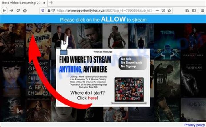 Remove Oranopportunitytos.xyz Virus — How to Fix Guide