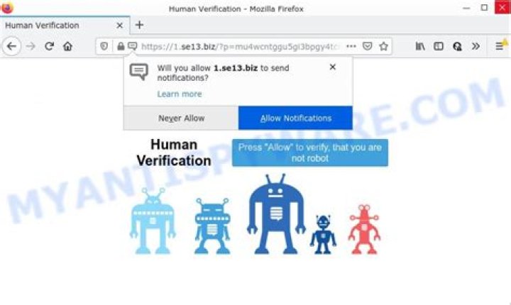 Remove Se13.biz Virus — How to Fix Guide