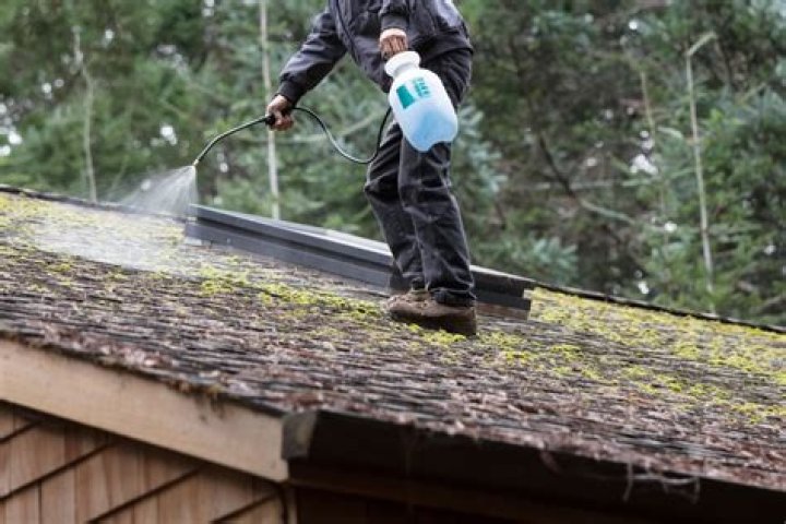 Should you clean moss off your roof