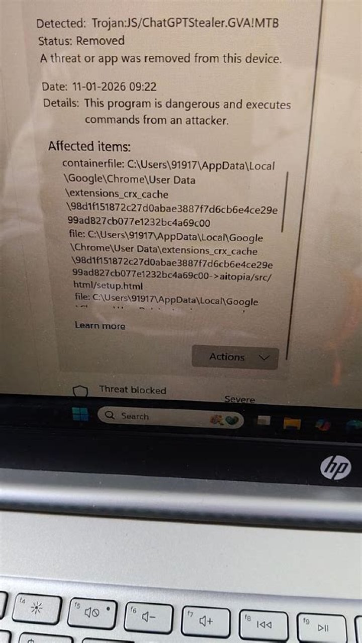 Trojan-Ransom.MSIL.Geograph.dh