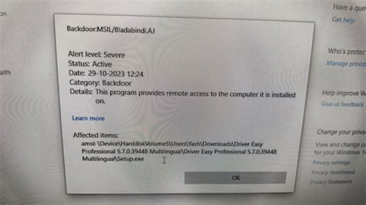 VHO:Backdoor.MSIL.Bladabindi