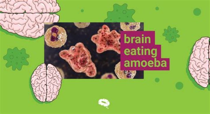 What 8 cities have the brain eating amoeba?