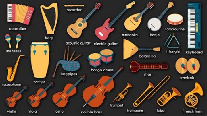 What animals are used for musical instruments?