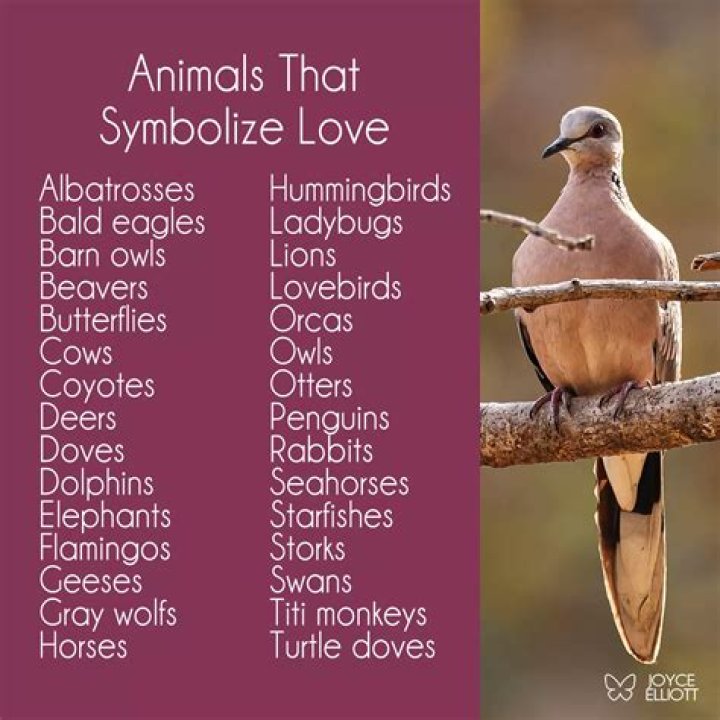 What animals symbolize Australia?