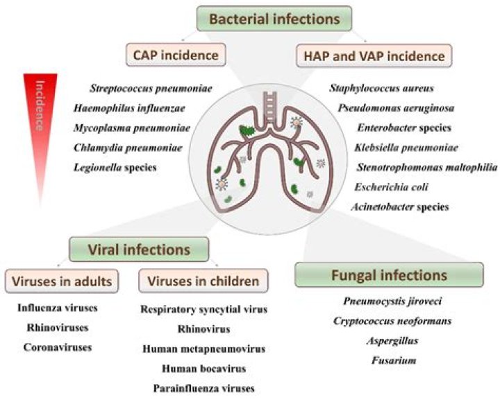 What antibiotics treat atypical pneumonia