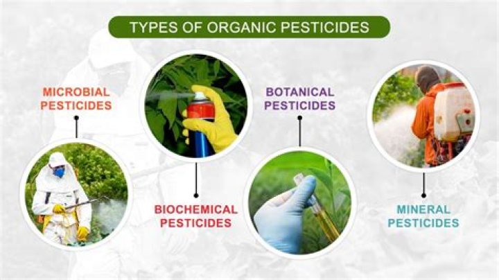 What are biodegradable pesticides