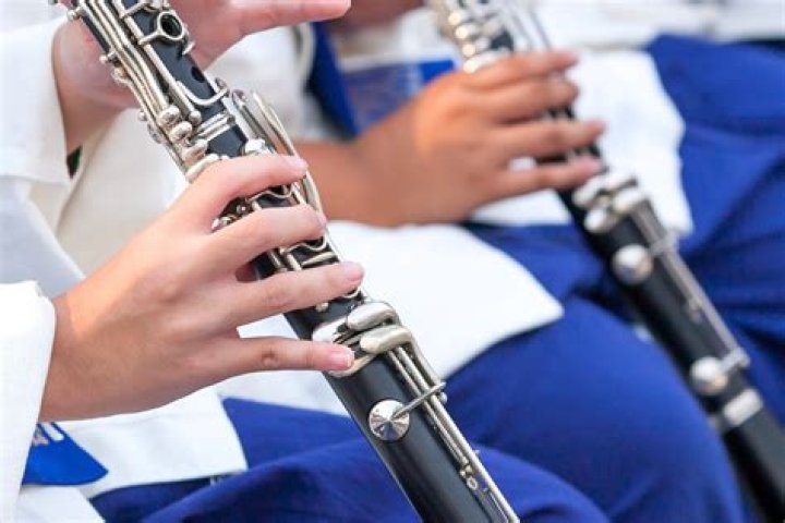 What are clarinet players called?