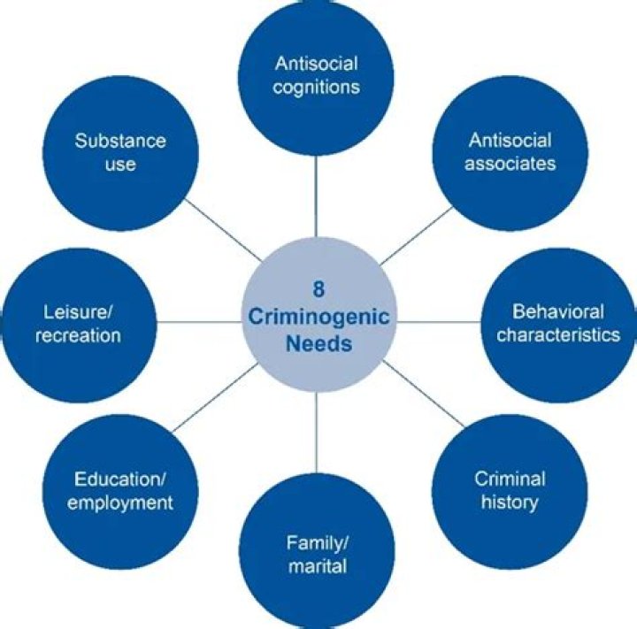 What are criminogenic needs