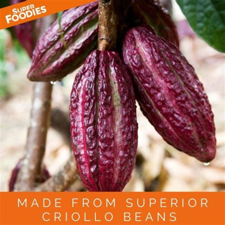 What are Criollo cacao beans?