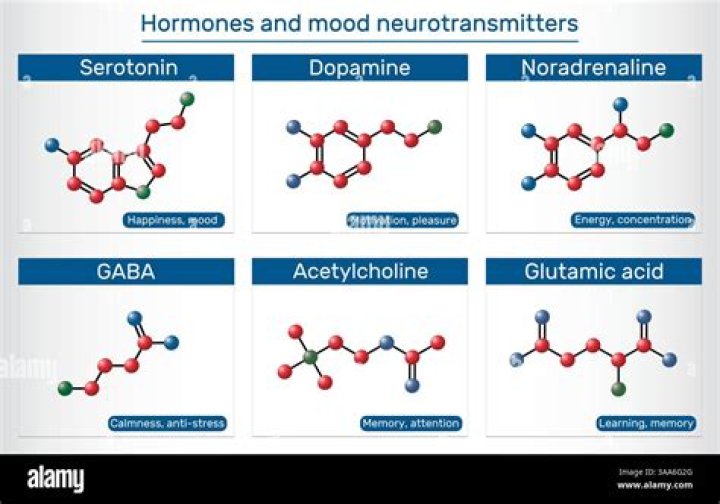 What are examples of monoamines