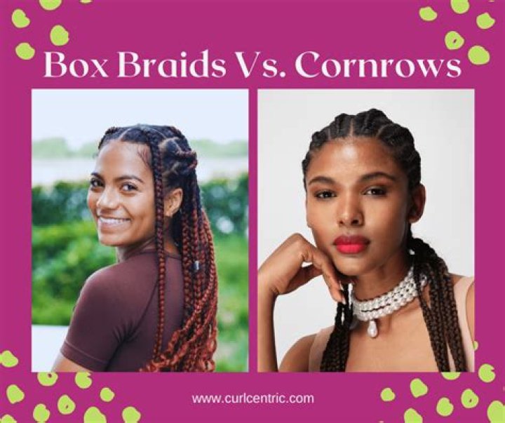 What are feed in cornrows?