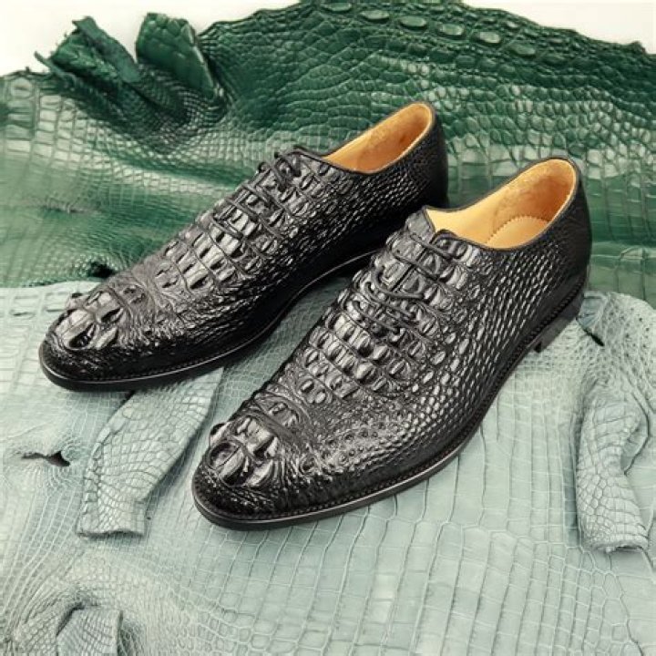 What are Gators shoes?