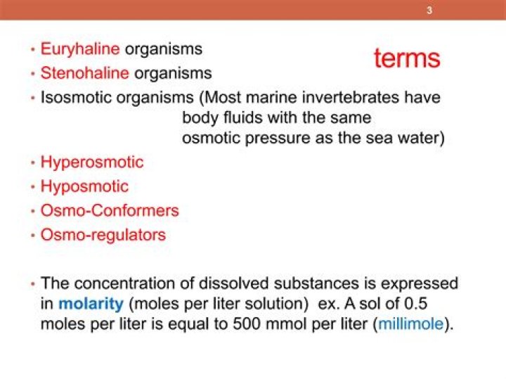 What are osmotic conformers?