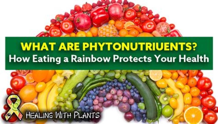 What are phytonutrients good for?