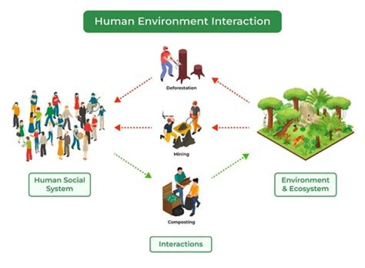What are positive human environment interactions?