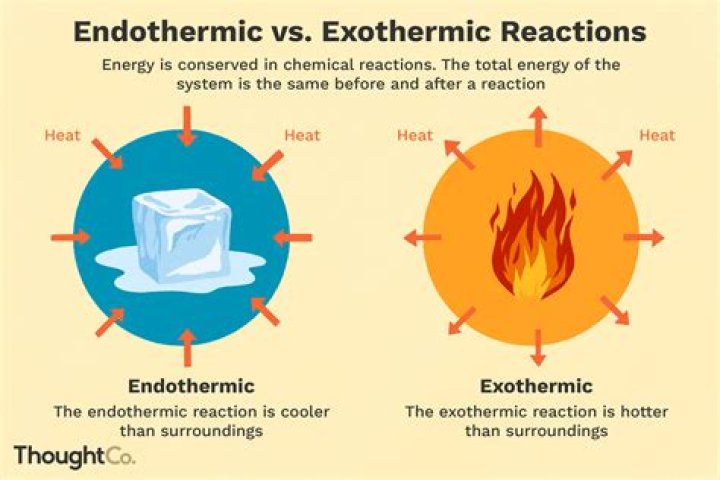 What are some examples of endothermic?
