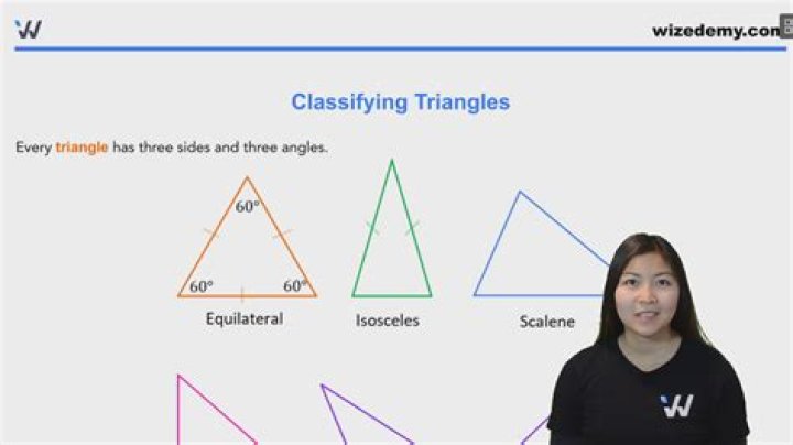 What are Spirochaetes And how do you classify them?