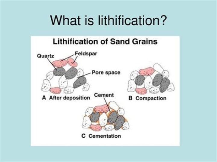 What are the 2 sub processes of Lithification?