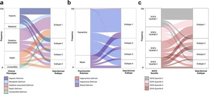 What are the 3 subtypes of delirium