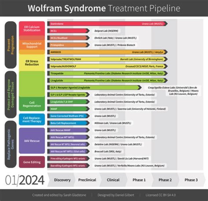 What are the 4 most common features of Wolfram syndrome?