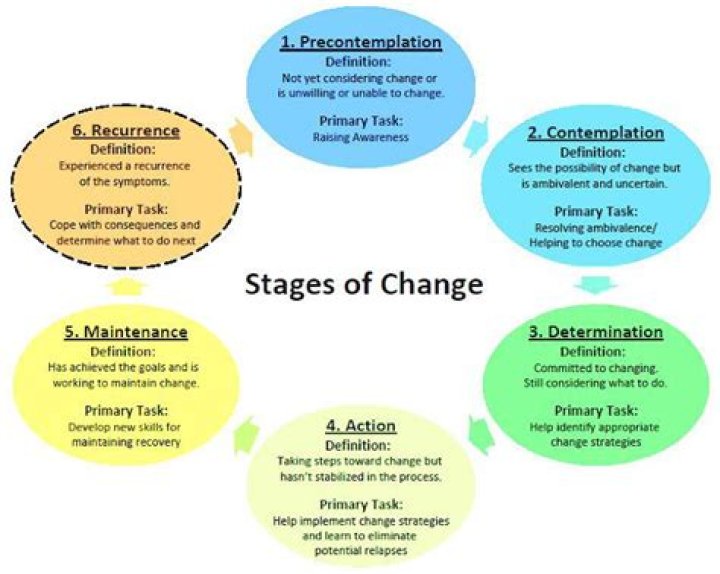 What are the 4 stages of counseling?