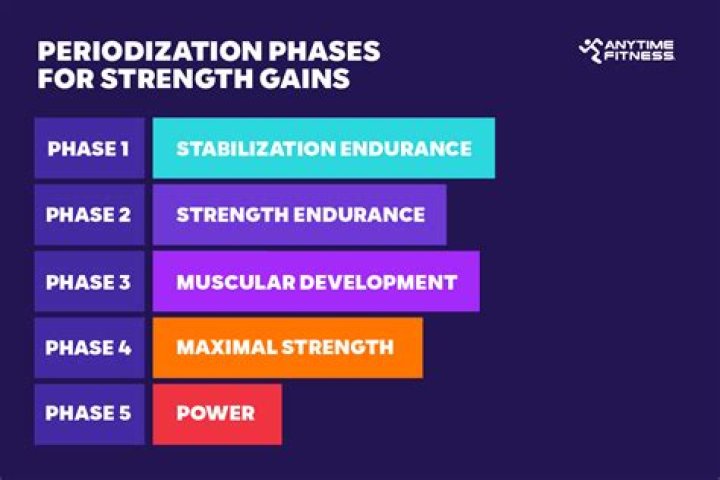 What are the 5 stages of periodization?