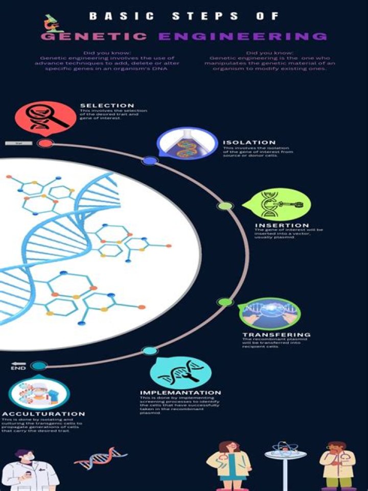 What are the 5 steps of genetic engineering process?