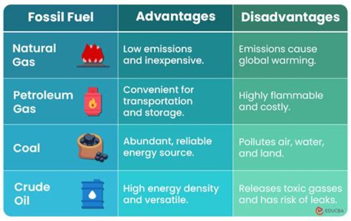 What are the advantages and disadvantages of using fossil fuels for energy?