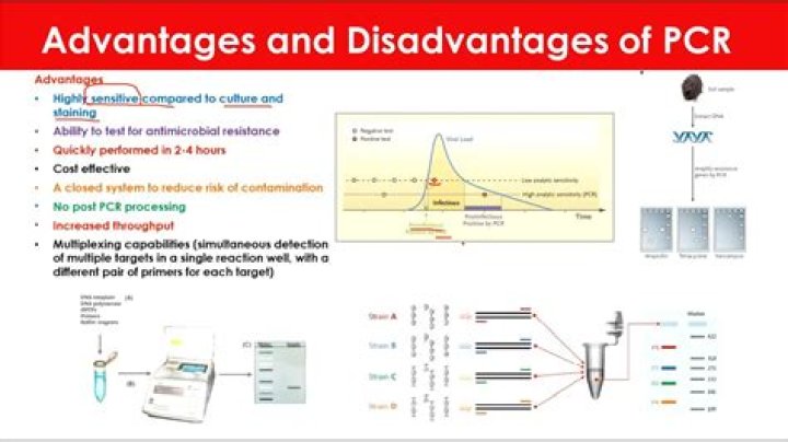 What are the advantages of PCR over gene cloning for generating many copies of a DNA fragment
