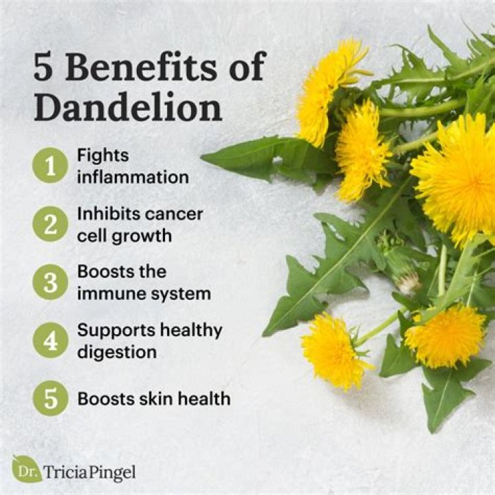 What are the benefits of eating dandelion leaves