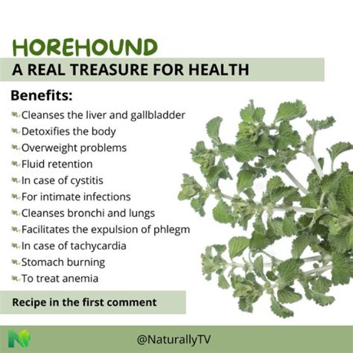 What are the benefits of horehound candy