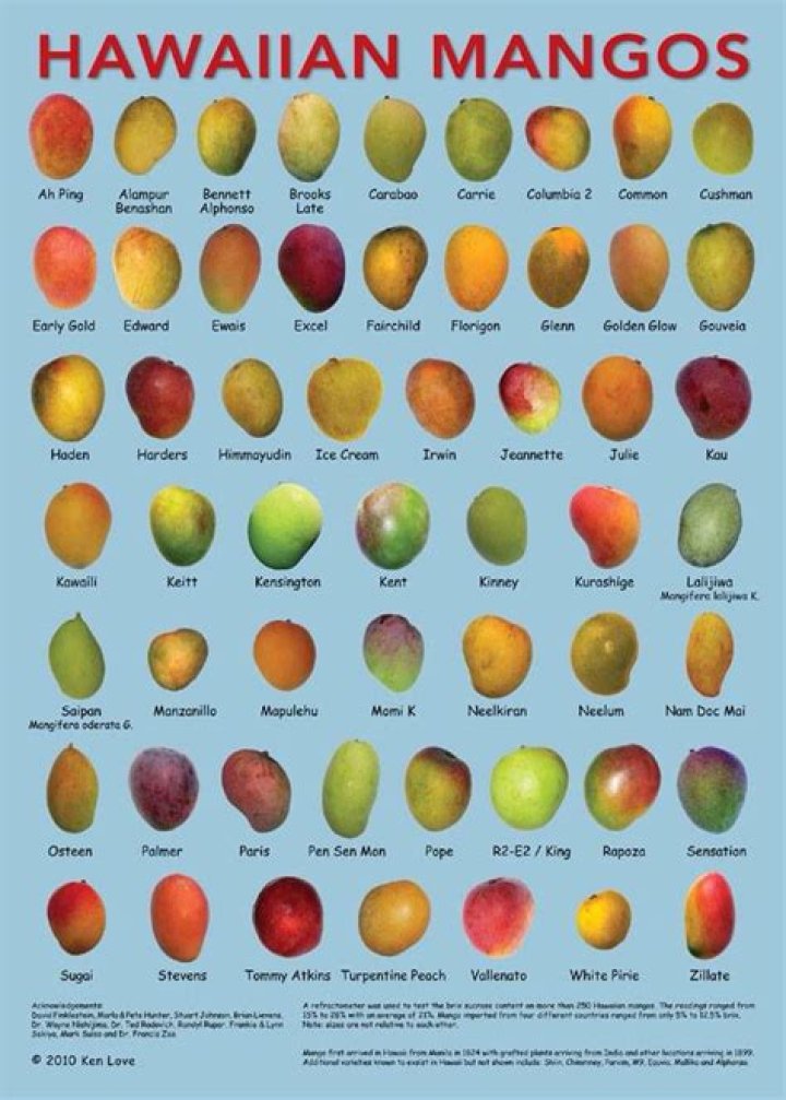 What are the best mangoes?