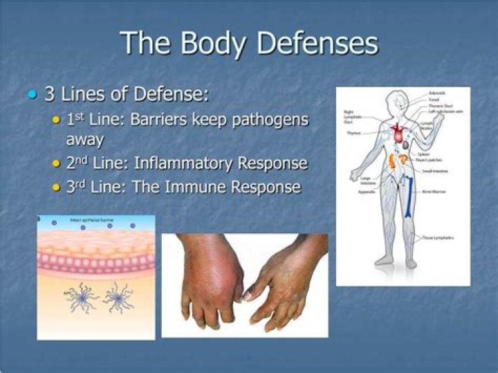 What are the body's three defenses?