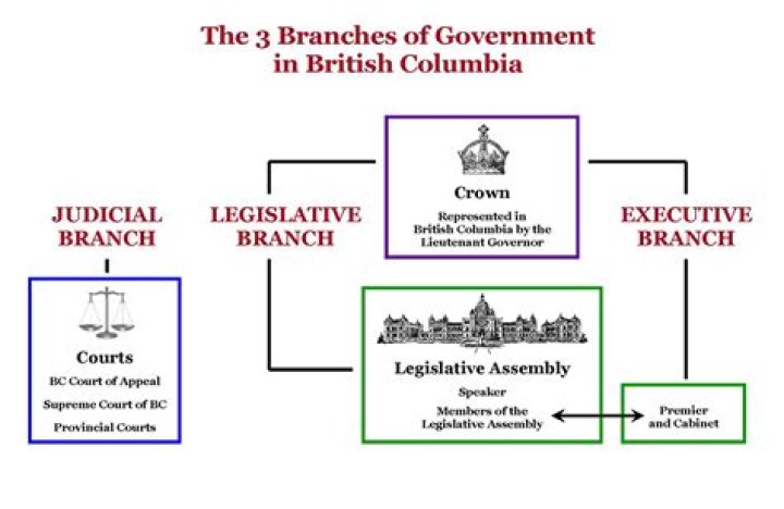 What are the branches of criminology?