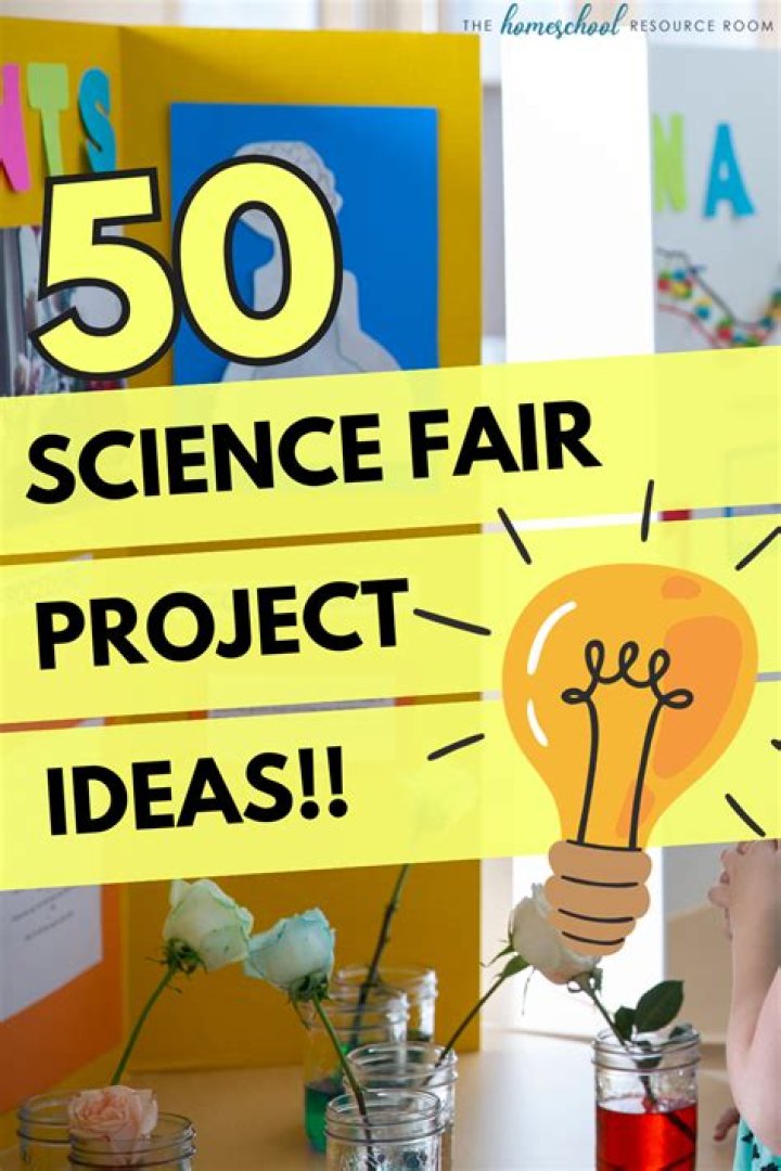 What are the categories for science fair projects?