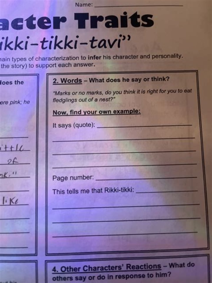 What are the character traits of Rikki Tikki Tavi?